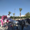 ���������� ������, ���� ������� �����, 46 ���, ������������ ��� ������, ����� � ���������, c�������� ���������