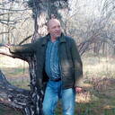 ���������� ���������, ���� ������� ����, 65 ���, ������������ ��� c�������� ���������