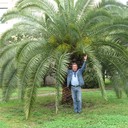  ,   , 60 ,   ,   , c , 