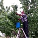  ,   Albert, 59 ,   ,   