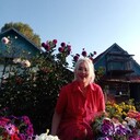 ���������� ������������, ���� ������� �����, 44 ����, ������������ ��� ������, ����� � ���������