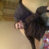  ,   Saken, 37 ,   , 