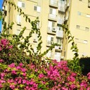  Ashqelon,   Yurii, 66 ,     , c 