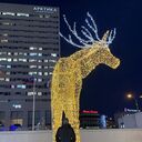 ���������� ���������, ���� ������� �����, 37 ���, ������������ ��� ����� � ���������, c�������� ���������, ���������