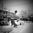  ,   Saba, 32 ,   