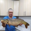  ,   , 53 ,   c 