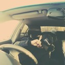 ���������� ����������, ���� ������� ������, 30 ���, ������������ ��� ������, ����� � ���������, c�������� ���������