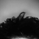 ���������� �����, ���� ������� ����, 44 ����, ������������ ��� ������, ����� � ���������, ���������