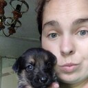 ���������� ����, ���� ������� ���������, 29 ���, ������������ ��� ������, ���������