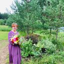 ���������� ������, ���� ������� �����, 67 ���, ������������ ��� c�������� ���������, ���������