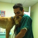  ,   Raf, 31 ,   ,   , c 