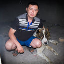  ,   Aman, 43 ,   ,   , c 
