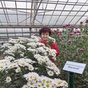 ���������� ��������, ���� ������� ������, 64 ����, ������������ ��� c�������� ���������