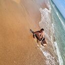 ���������� ����������, ���� ������� Vladimir, 37 ���, ������������ ��� ������, ����� � ���������, c�������� ���������