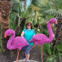  ,   , 60 ,     , c 