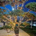 ���������� ���������, ���� ������� ��������, 31 ���, ������������ ��� ������, ����� � ���������, c�������� ���������, ���������