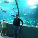 ���������� ������, ���� ����� ���, 24 ����, ������������ ��� ������, ����� � ���������