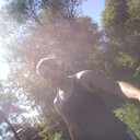 ���������� ����, ���� ������� �������, 35 ���, ������������ ��� ������, ����� � ���������