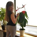 ���������� ������, ���� ������� �������, 43 ����, ������������ ��� ������, ����� � ���������, c�������� ���������