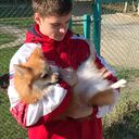 ���������� ���������, ���� ����� �����, 21 ���, ������������ ��� ������, ����� � ���������