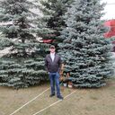 ���������� ������, ���� ������� �������, 34 ����, ������������ ��� ����� � ���������, c�������� ���������