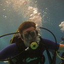 ���������� ��������, ���� ������� �����, 40 ���, ������������ ��� ������, ����� � ���������, c�������� ���������