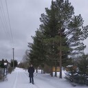 ���������� �����-���������, ���� ������� ���������, 38 ���, ������������ ��� ������, ����� � ���������, c�������� ���������