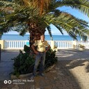  ,   , 65 ,   ,   