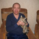 ���������� ������, ���� ������� ����, 54 ����, ������������ 