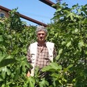 ���������� Goddard, ���� ������� ������, 66 ���, ������������ ��� ������, ����� � ���������