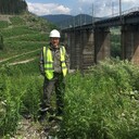 ���������� ����������, ���� ������� ����, 49 ���, ������������ ��� ������, ����� � ���������