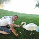 ���������� ����, ���� ������� ���������, 42 ����, ������������ ��� ������, ����� � ���������, c�������� ���������