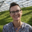 ���������� ������, ���� ������� ����, 47 ���, ������������ ��� ����� � ���������, c�������� ���������