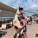 ���������� ������, ���� ������� �������, 40 ���, ������������ ��� ������, ����� � ���������