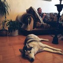  ,   Pavel, 40 ,     , c 