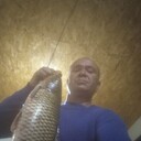 ���������� ���������� �����, ���� ������� �������, 38 ���, ������������ ��� ������, ����� � ���������, c�������� ���������