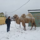 ���������� ����������, ���� ������� �����, 45 ���, ������������ ��� ������, ���������