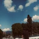 ���������� ���������, ���� ������� ����, 27 ���, ������������ ��� ������