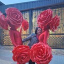  ,   , 51 ,     , c , 