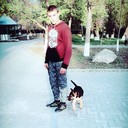 ���������� �������, ���� ������� ���� ����, 38 ���, ������������ ��� ������, ����� � ���������, c�������� ���������