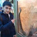 ���������� �����������, ���� ������� �������, 31 ���, ������������ ��� ����� � ���������, c�������� ���������