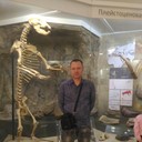 ���������� ���������, ���� ������� ������, 49 ���, ������������ ��� ������, ���������