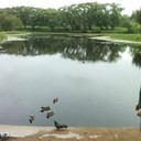 ���������� ����������, ���� ������� Sandro, 37 ���, ������������ ��� ������, ����� � ���������, c�������� ���������