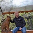 ���������� �������, ���� ������� ������������, 36 ���, ������������ ��� ������, ����� � ���������