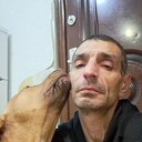 ���������� �����, ���� ������� ���������, 49 ���, ������������ ��� ����� � ���������, c�������� ���������