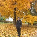 ���������� ��������, ���� ������� ����, 37 ���, ������������ ��� ������, ����� � ���������, c�������� ���������, ���������