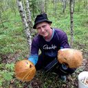  -,   , 33 ,   ,   , c 