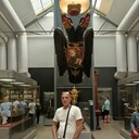  -,   Alexey, 50 ,   ,   , c 