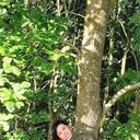 ���������� Adorf, ���� ������� ����, 44 ����, ������������ ��� ������, ����� � ���������, ���������