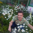   ,   , 52 ,   